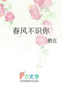 春风不识你春风不识你