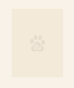 世子凶猛：谁敢和我抢女人？世子凶猛：谁敢和我抢女人？